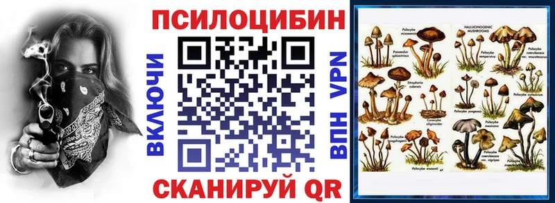 Псилоцибиновые грибы MAGIC MUSHROOMS  даркнет сайт  ОМГ ОМГ рабочий сайт  Абаза 